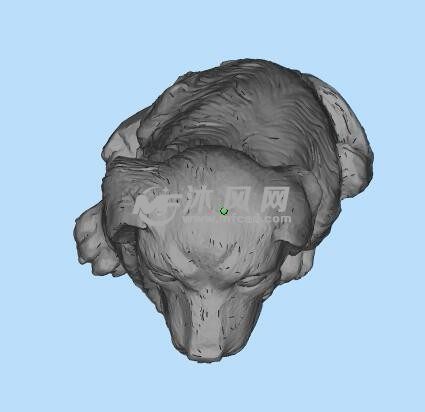 3d打印动物模型
