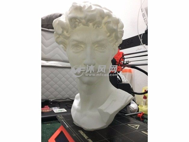 大卫雕像实物图