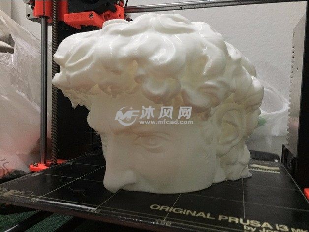 大卫雕像上侧头