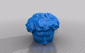 大卫雕像头部上侧