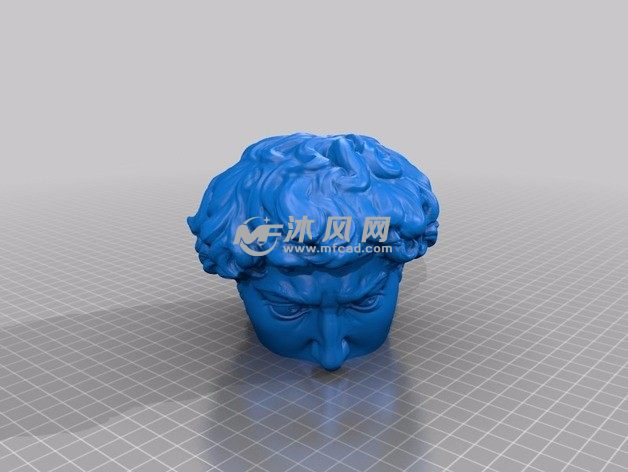 大卫雕像头部上侧