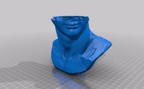 大卫雕像头部下侧