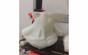 大卫雕像下侧头