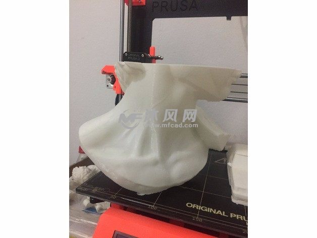 大卫雕像下侧头