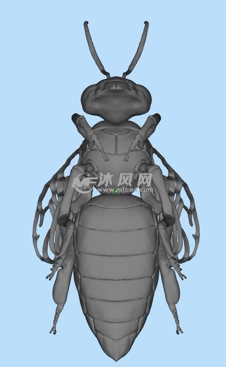 3d打印蜜蜂模型