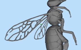 蜜蜂设计参考图