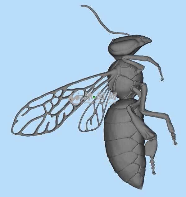 蜜蜂设计参考图