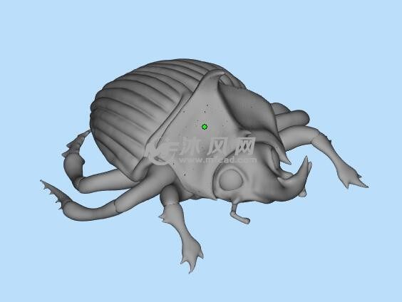 甲虫三维模型