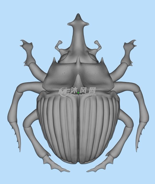 甲虫建模素材
