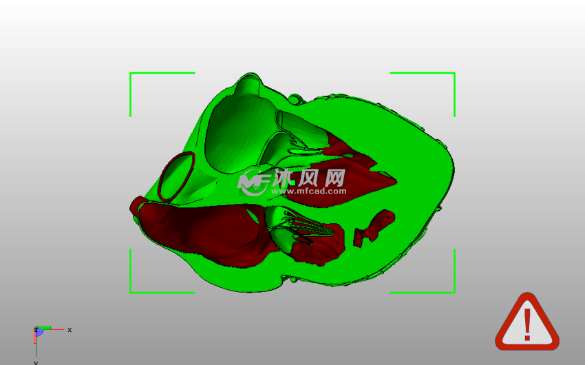 解剖心脏右侧后视图