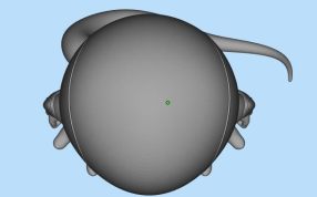 动漫角色三维设计