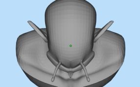 3d打印七龙珠模型