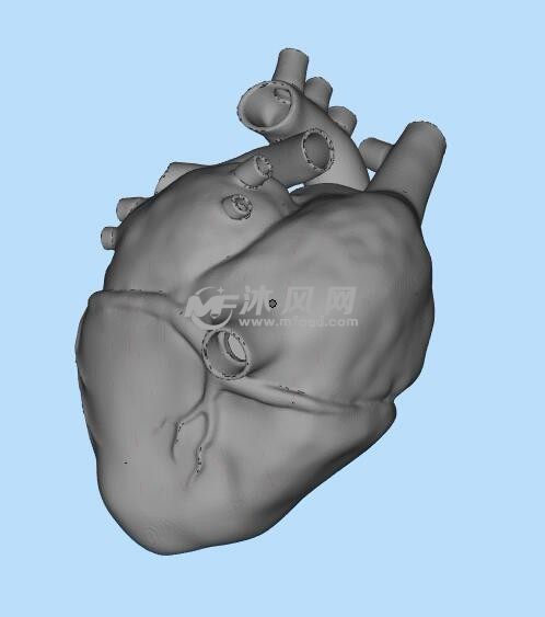 心脏三维设计