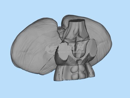 肝脏3D打印模型