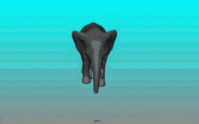 大象的模型