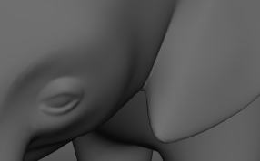 眼睛耳朵细节图