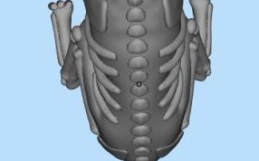 3D打印恶犬模型