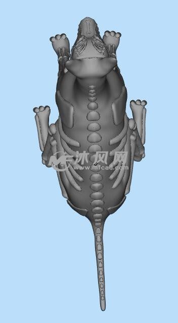 3D打印恶犬模型