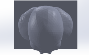 龙虾医生主视图