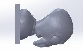 龙虾医生左视图