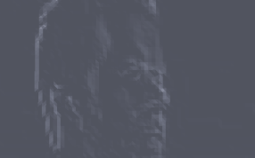 头部结构放大图