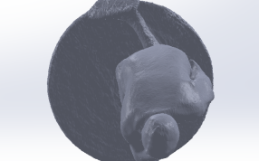 人物肖像俯视图