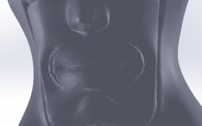 鼻子和嘴巴部分