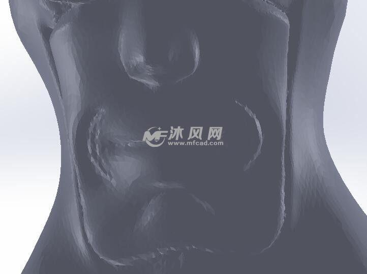 鼻子和嘴巴部分