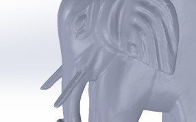 大象头部放大图