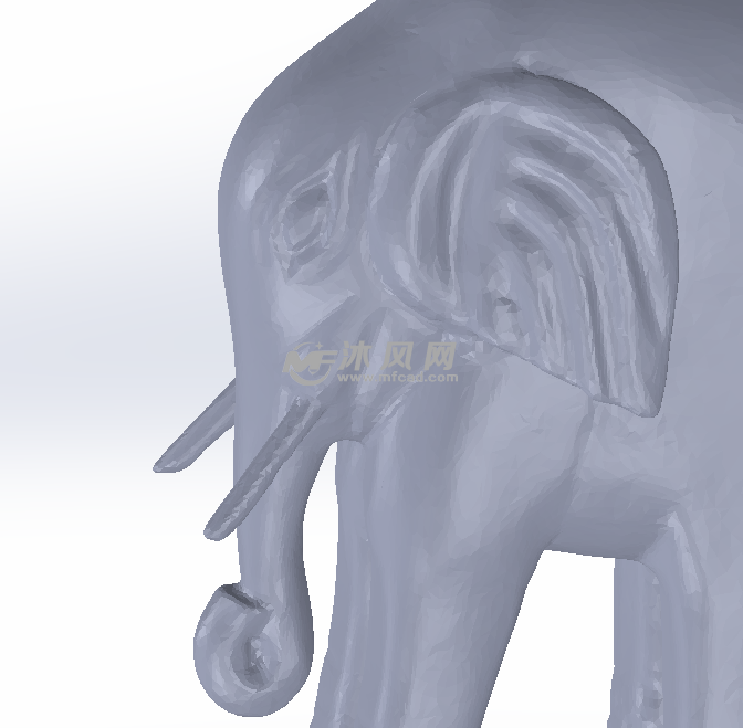 大象头部放大图