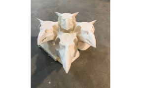 鸟头骨模型