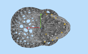 三维骷髅头灯罩设计图