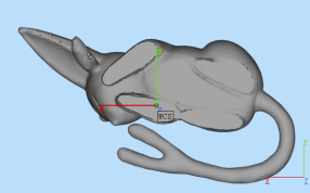 太阳精灵参考图