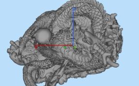 中国神兽三维模型