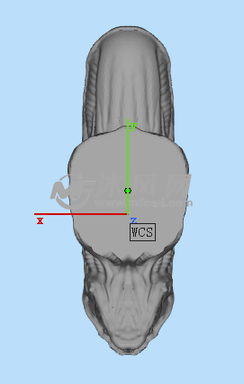 异形头部参考图