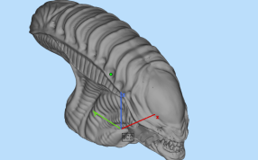 异形设计参考图
