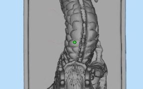 中国神兽三维模型