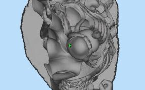 三国名将三维设计