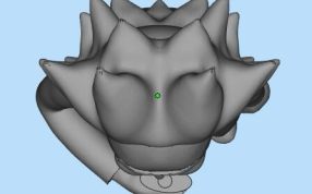 瑞克设计参考图