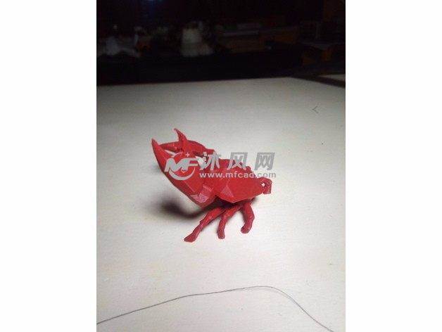 低三角面螃蟹实物图