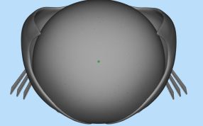 影视人物三维设计