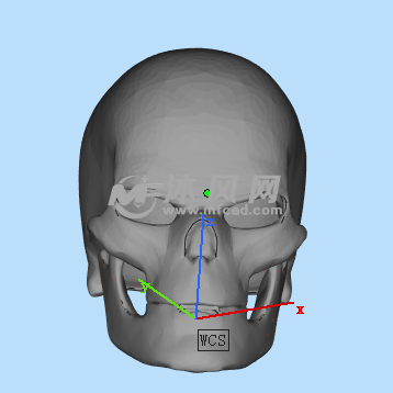 恶灵骑士面具整体图