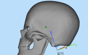 恶灵骑士面具侧面