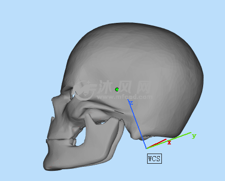 恶灵骑士面具侧面