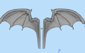 恶魔翅膀左视图