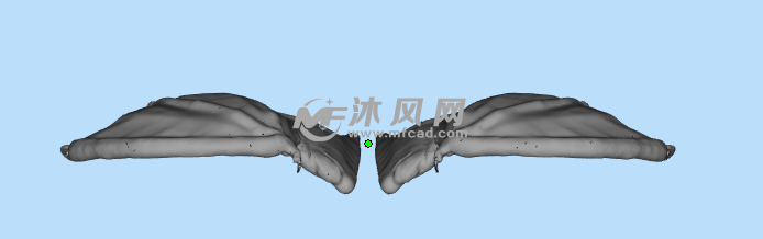 恶魔翅膀俯视图