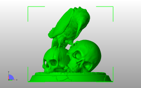 站在头骨的秃鹫主视图