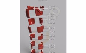 防毒面具组装示意图