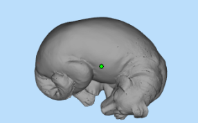 睡觉的狗三维图
