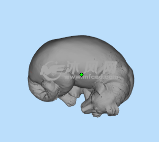 睡觉的狗三维图
